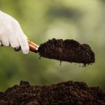 adding new soil to your garden